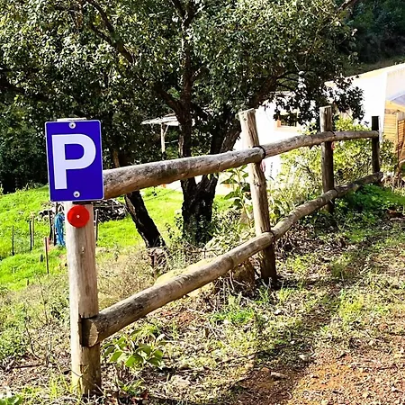 Casa de Férias Cosy Nature Yurt Retreat In The Algarve Countryside